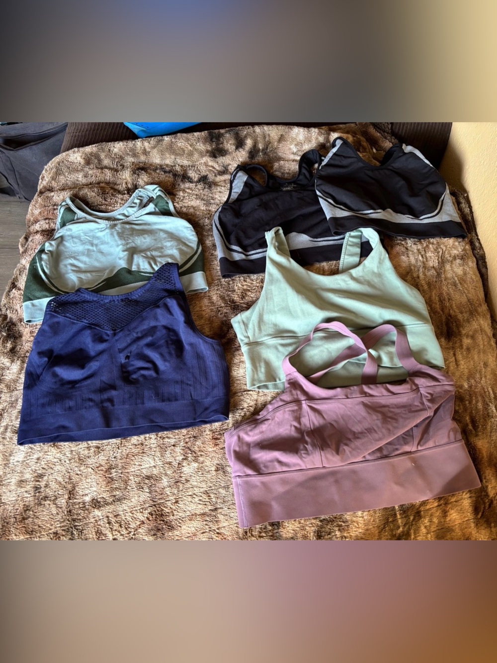 Women's Seamless Athletic Sports Bras - Mixed Colors
